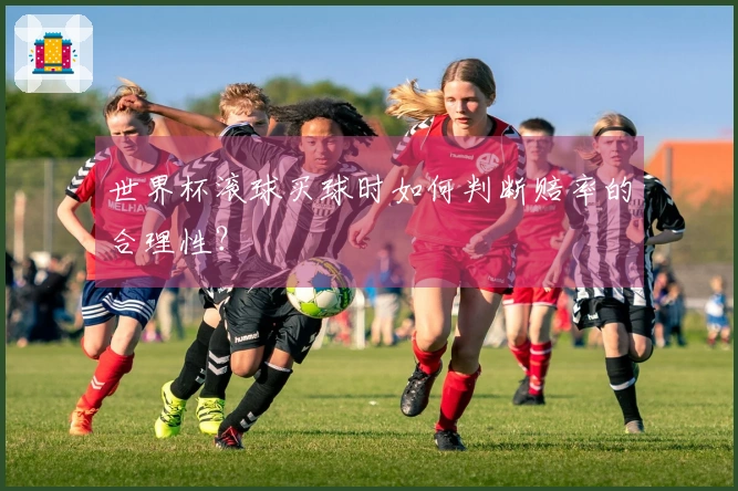 世界杯滚球买球时如何判断赔率的合理性？