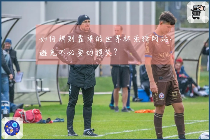 如何辨别靠谱的世界杯竞猜网站，避免不必要的损失？