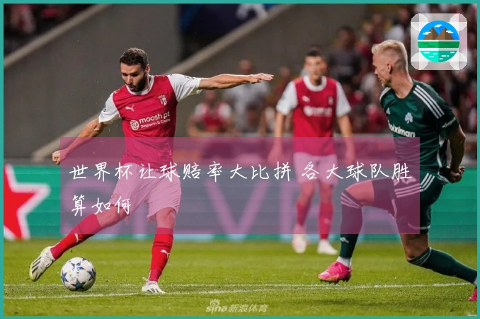 世界杯让球赔率大比拼 各大球队胜算如何