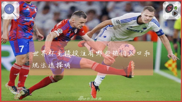 世界杯竞猜投注有哪些热门入口和玩法选择吗