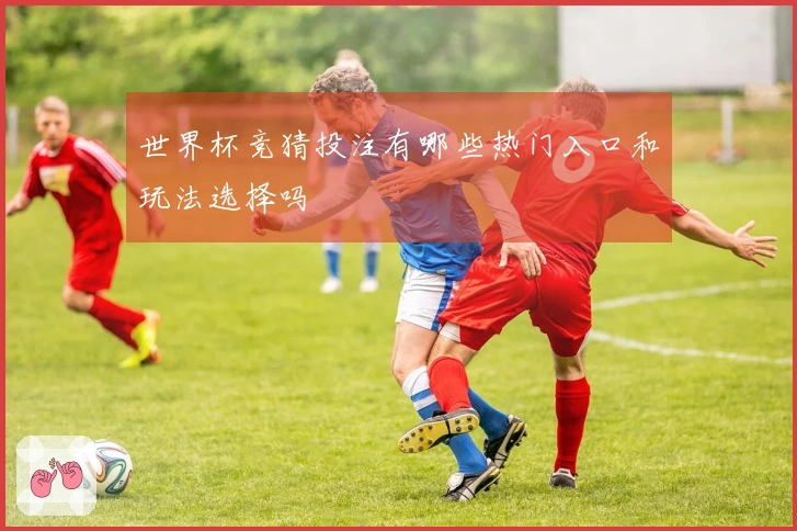 世界杯竞猜投注有哪些热门入口和玩法选择吗