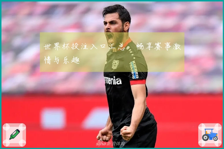 世界杯投注入口汇总，畅享赛事激情与乐趣