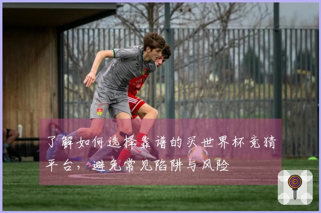 了解如何选择靠谱的买世界杯竞猜平台，避免常见陷阱与风险