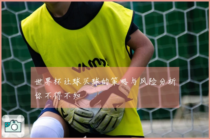 世界杯让球买球的策略与风险分析你不得不知