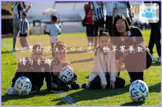 世界杯投注入口汇总，畅享赛事激情与乐趣
