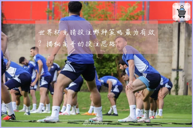 世界杯竞猜投注哪种策略最为有效？揭秘高手的投注思路