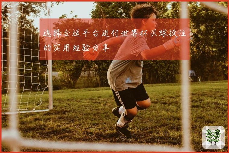 选择合适平台进行世界杯买球投注的实用经验分享