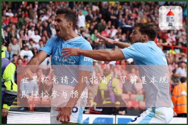 世界杯竞猜入门指南：了解基本规则轻松参与预测