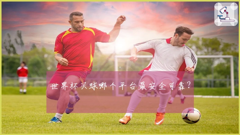 世界杯买球哪个平台最安全可靠？