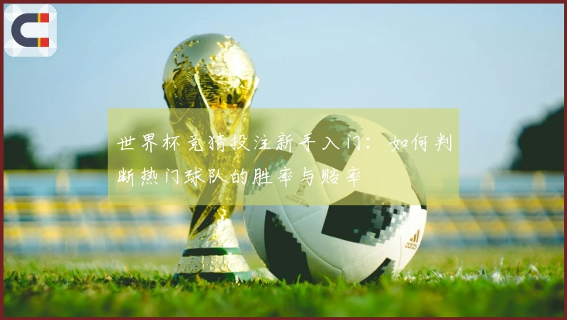 世界杯竞猜投注新手入门：如何判断热门球队的胜率与赔率
