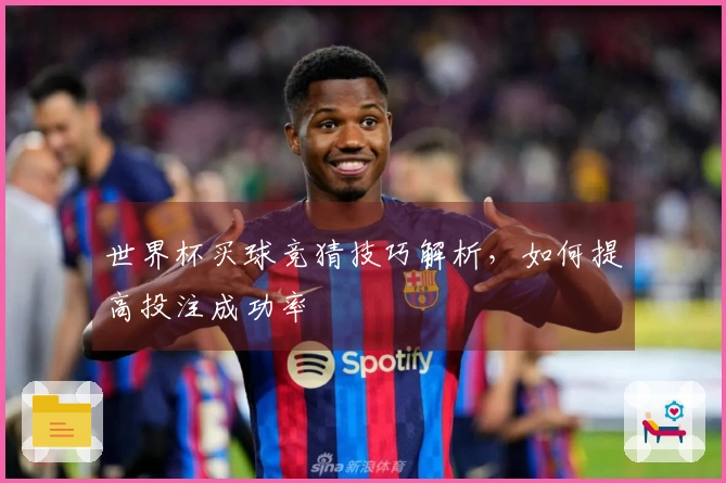 世界杯买球竞猜技巧解析，如何提高投注成功率