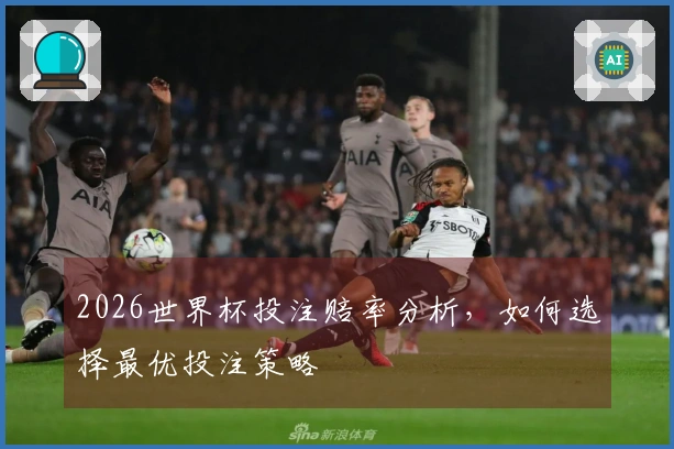 2026世界杯投注赔率分析，如何选择最优投注策略