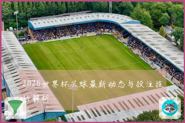 2026世界杯买球最新动态与投注技巧解析