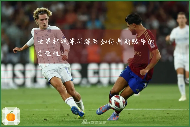 世界杯滚球买球时如何判断赔率的合理性？