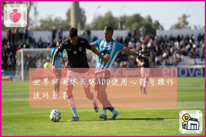 世界杯滚球买球App使用心得与操作技巧分享