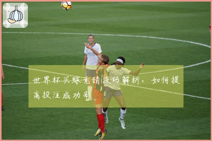 世界杯买球竞猜技巧解析，如何提高投注成功率
