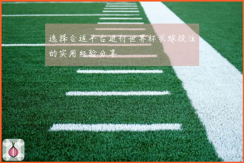 选择合适平台进行世界杯买球投注的实用经验分享