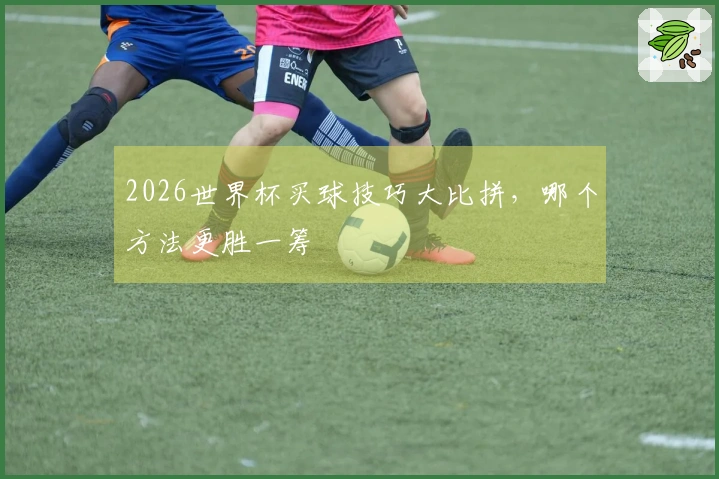 2026世界杯买球技巧大比拼，哪个方法更胜一筹