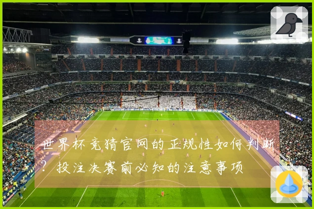 世界杯竞猜官网的正规性如何判断？投注决赛前必知的注意事项