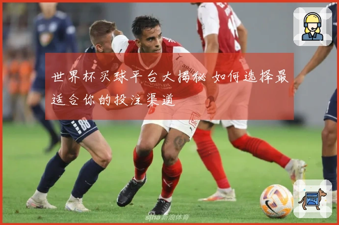 世界杯买球平台大揭秘 如何选择最适合你的投注渠道
