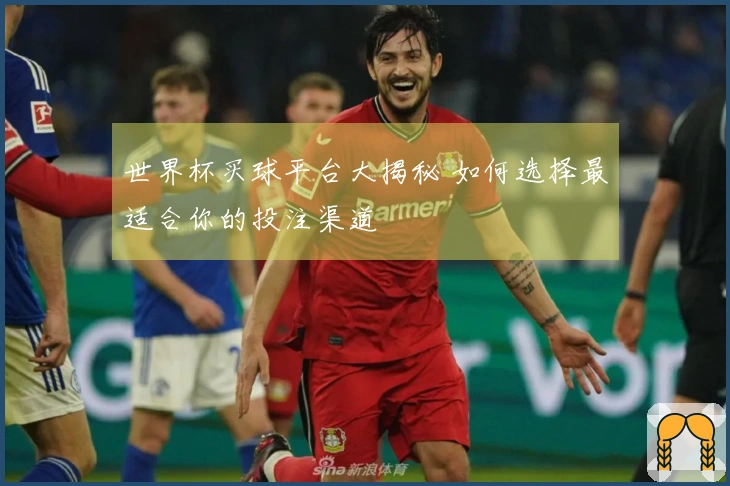 世界杯买球平台大揭秘 如何选择最适合你的投注渠道