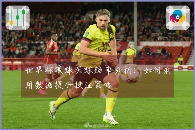世界杯滚球买球赔率分析：如何利用数据提升投注策略