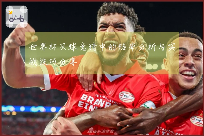 世界杯买球竞猜中的赔率分析与实战技巧分享