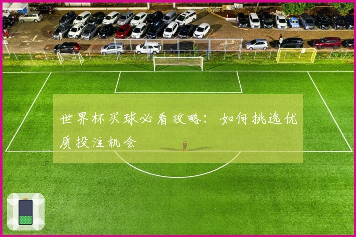 世界杯买球必看攻略：如何挑选优质投注机会