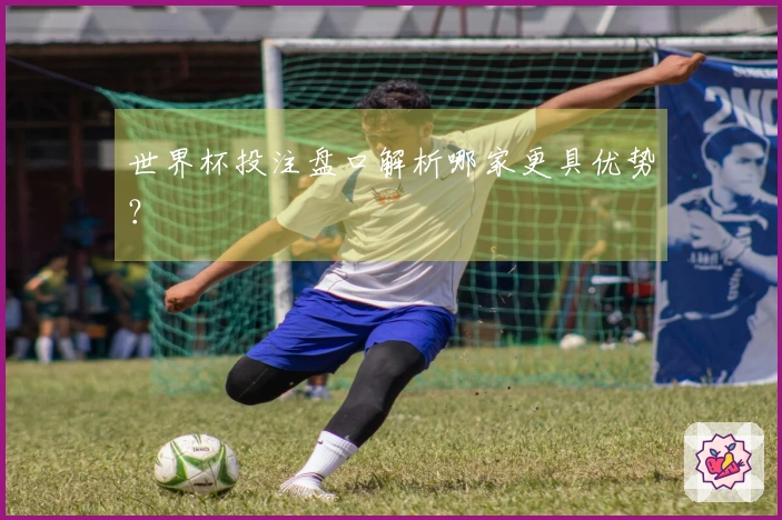 世界杯投注盘口解析哪家更具优势？