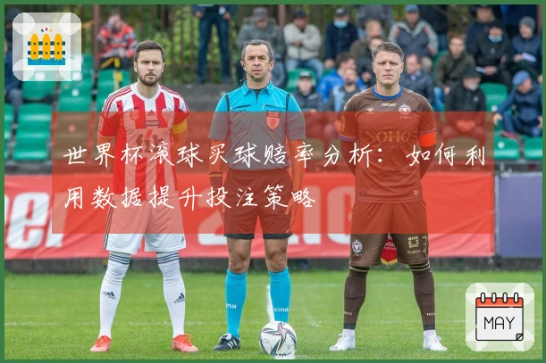世界杯滚球买球赔率分析：如何利用数据提升投注策略