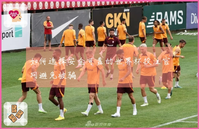 如何选择安全可靠的世界杯投注官网避免被骗