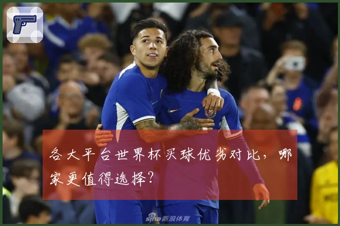 各大平台世界杯买球优劣对比，哪家更值得选择？